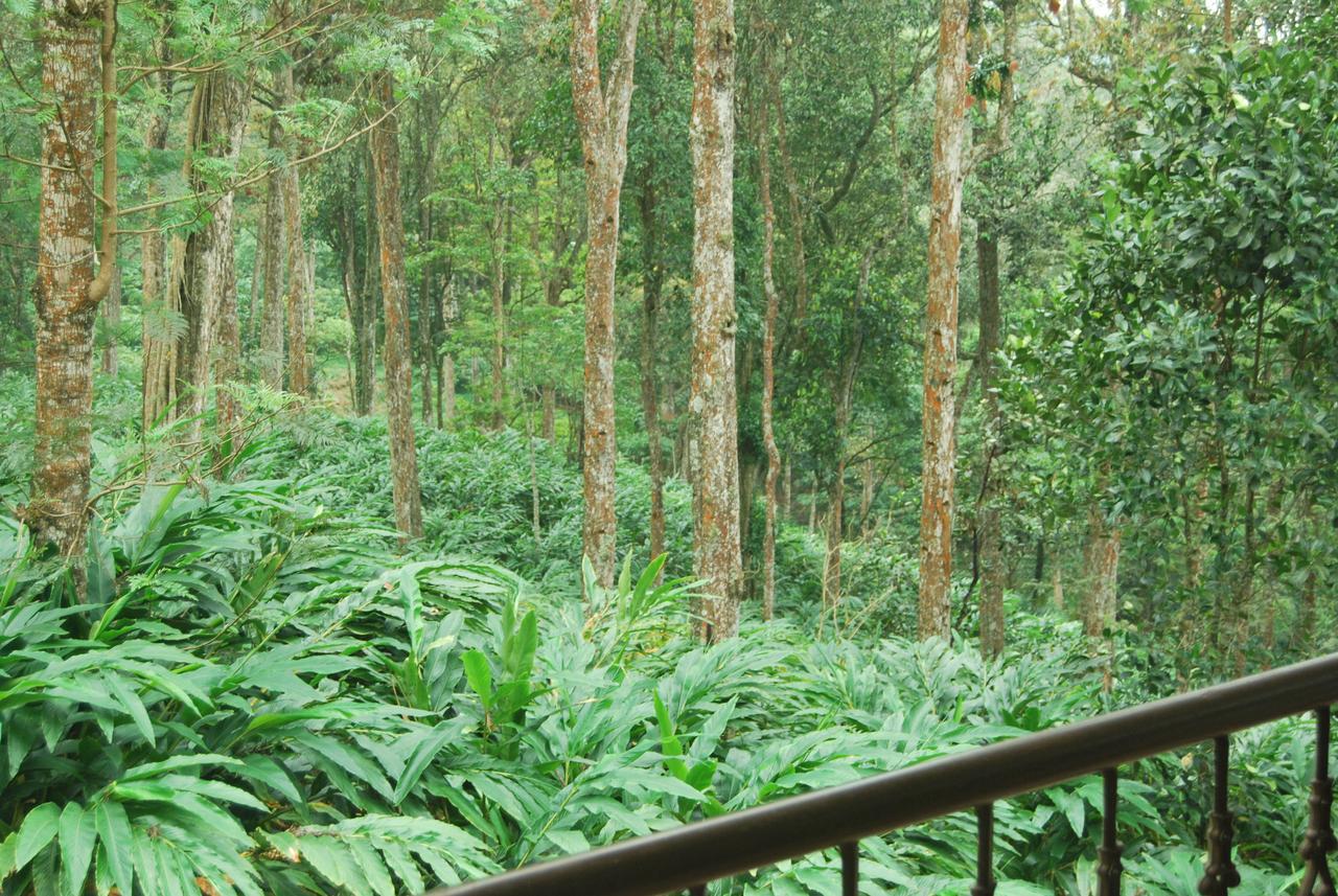 T Cherry Villa Munnar Esterno foto