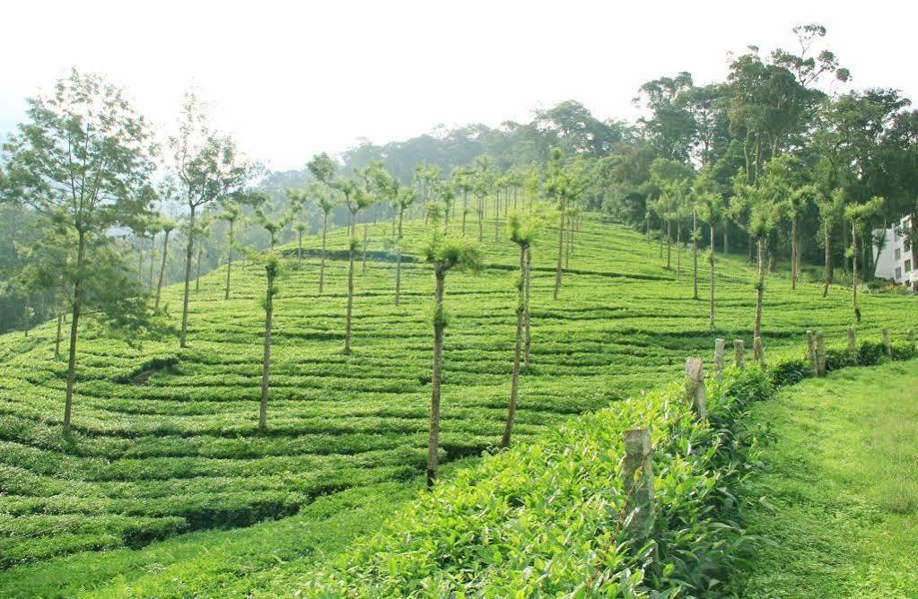 T Cherry Villa Munnar Esterno foto