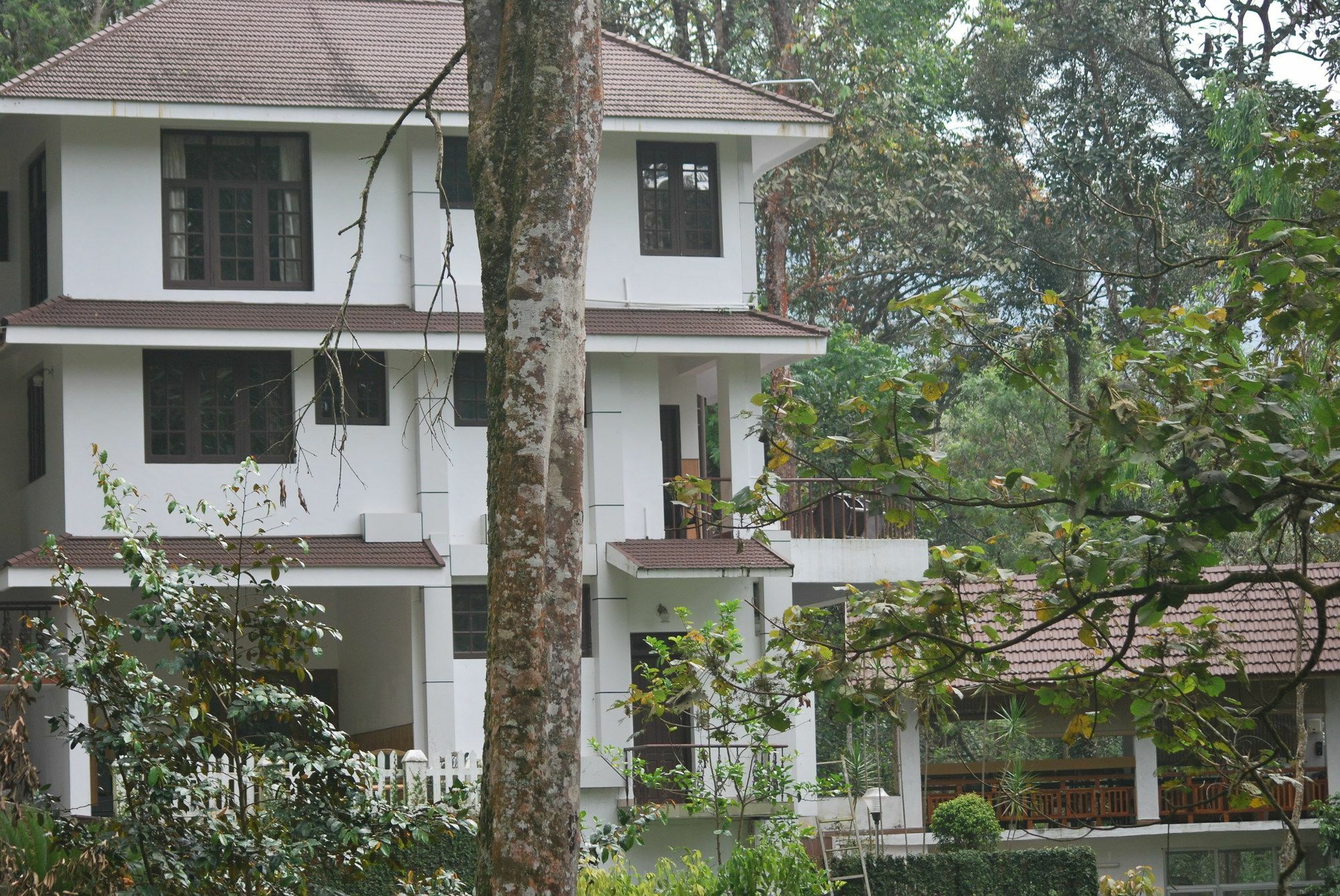 T Cherry Villa Munnar Esterno foto